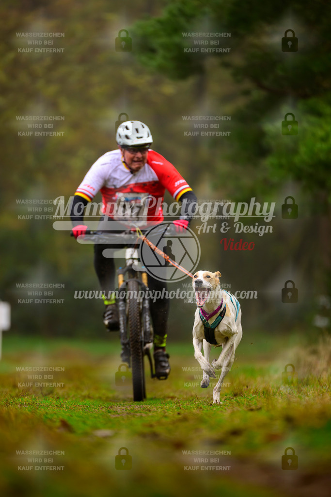 MompixPhotography_Bischwiller2025_Bike-90 | mompixphotography