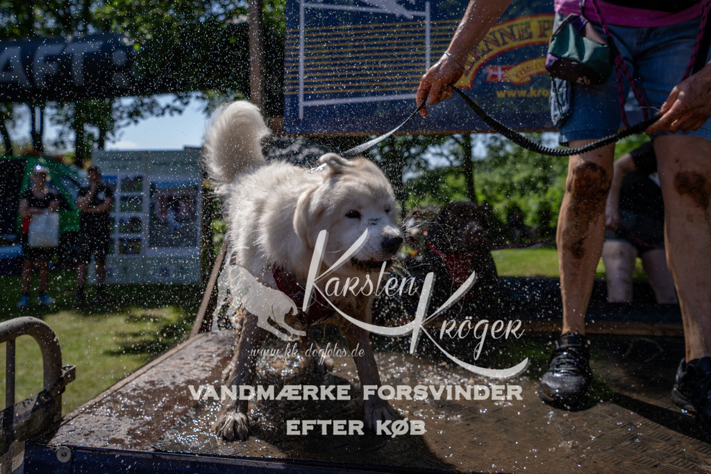 1329_ZZ91490 | kk-dogfotos
