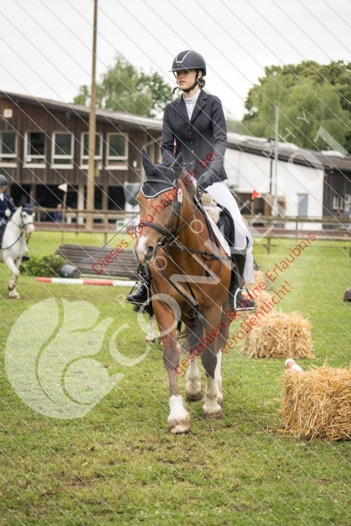 IMG_7985 | Sport-, Event- und Tierfotos in Profiqualität. Einfach auswählen, bestellen und herunterladen. Dein Moment – perfekt festgehalten.