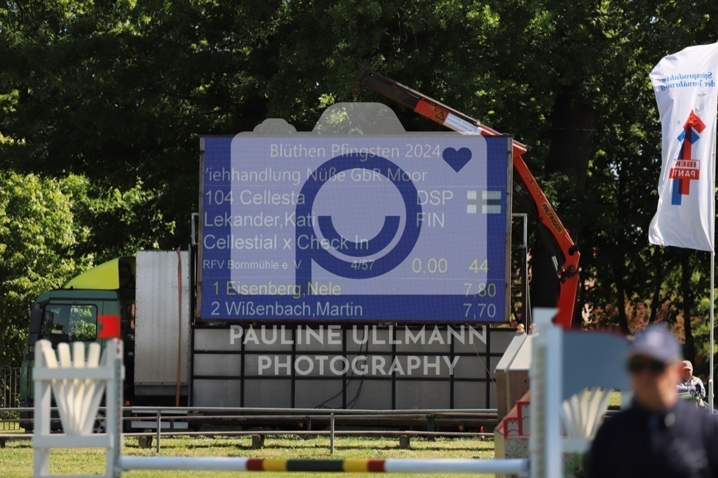 IMG_6069 | Pauline Ullmann Photography - Realisiert mit Pictrs.com