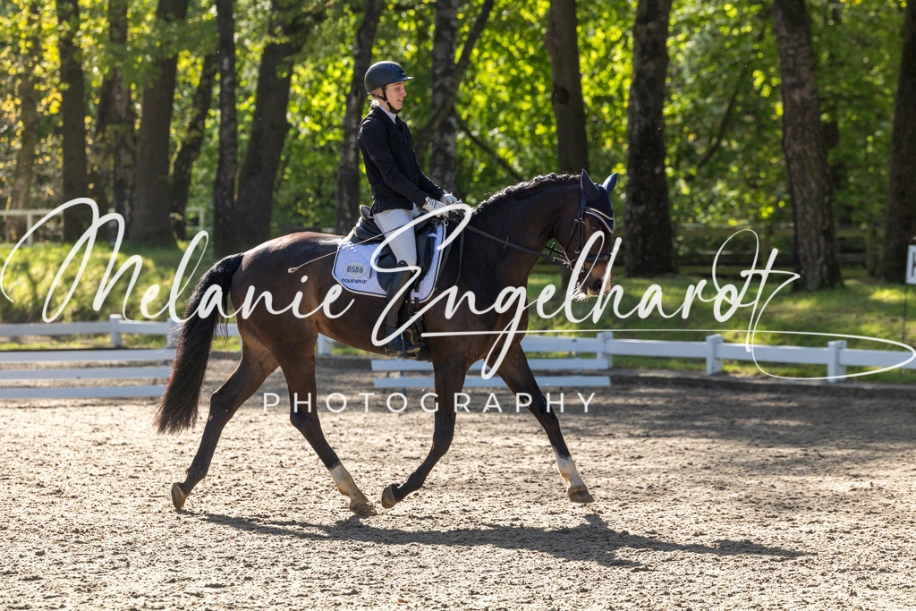 7I8A7610 | melanie-engelhardt-photography - Realisiert mit Pictrs.com