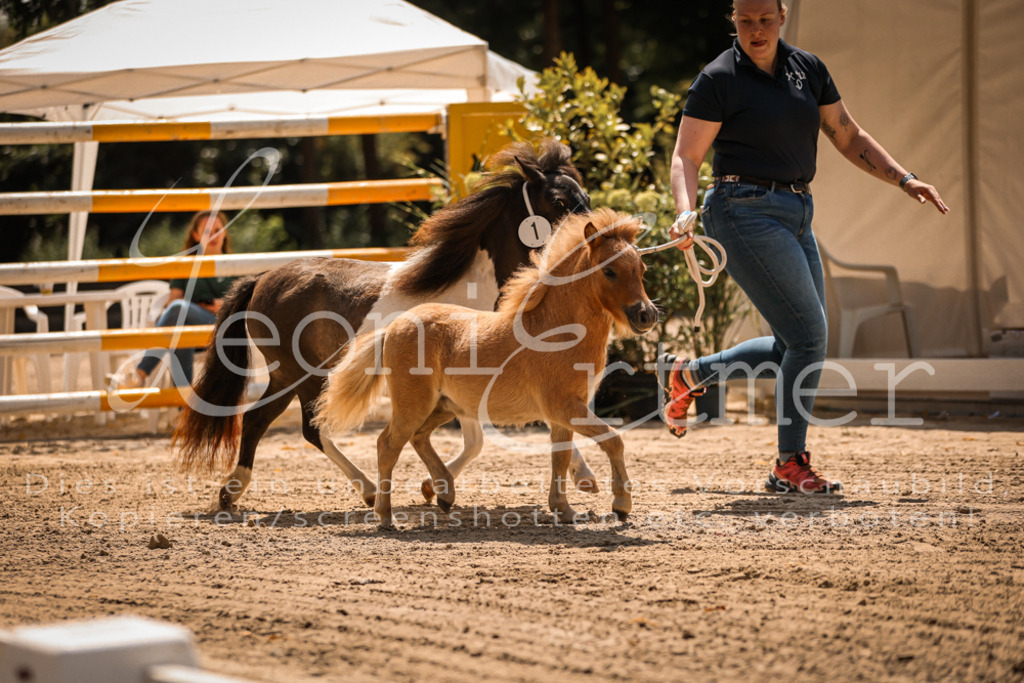 01.DoKR00026 | Leoni Ertmer Photography - Realisiert mit Pictrs.com
