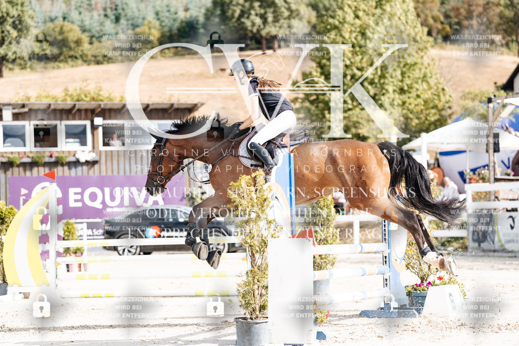 CK909057 | Turnierfotografie Pferdefotografie Trier Rheinland-Pfalz Pferdesport Reitsport Tierfotografie Sportfotografie Pferdevideo Pferdevideografie Equestrianvideography equestrianphotography  - Realisiert mit Pictrs.com