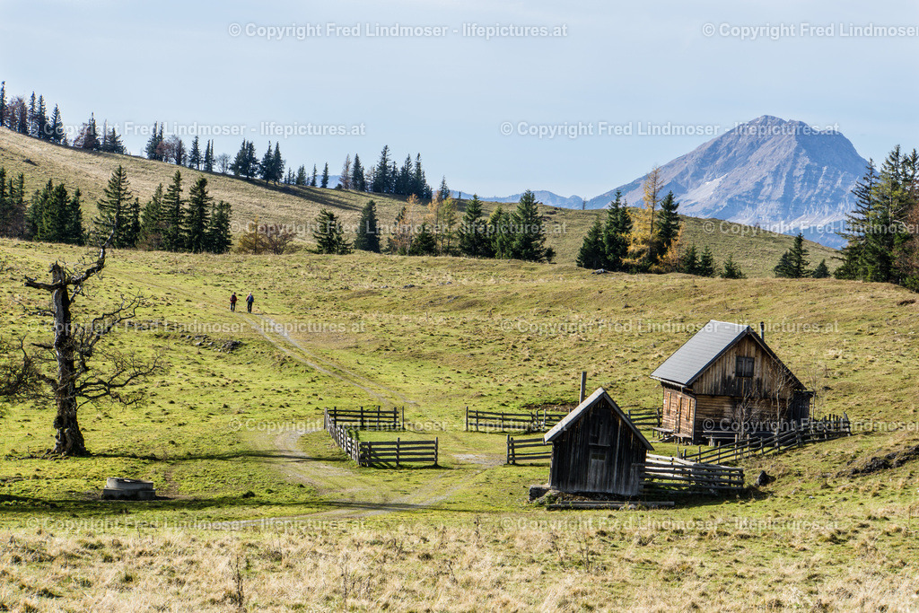 Kuchl Alm | Kuchl Alm mit Ötscherblick - Realisiert mit Pictrs.com