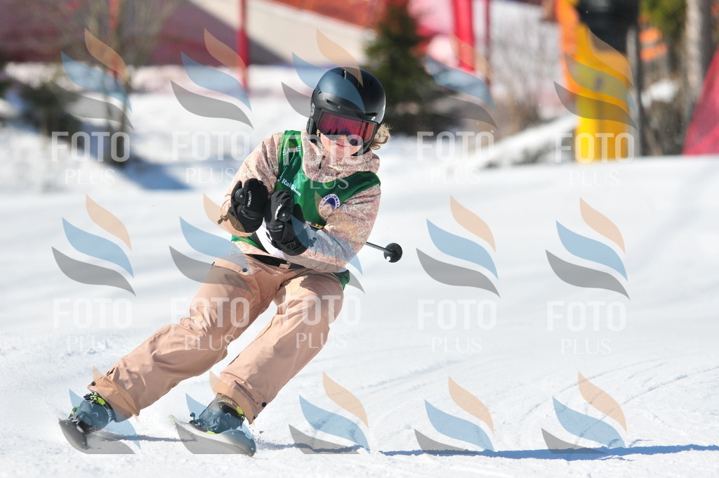 C3260 | holidayphoto