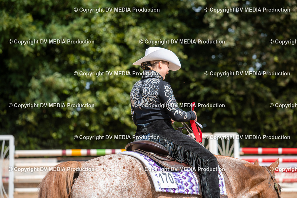 ZS3_9530 | dv-media-shop - Realisiert mit Pictrs.com