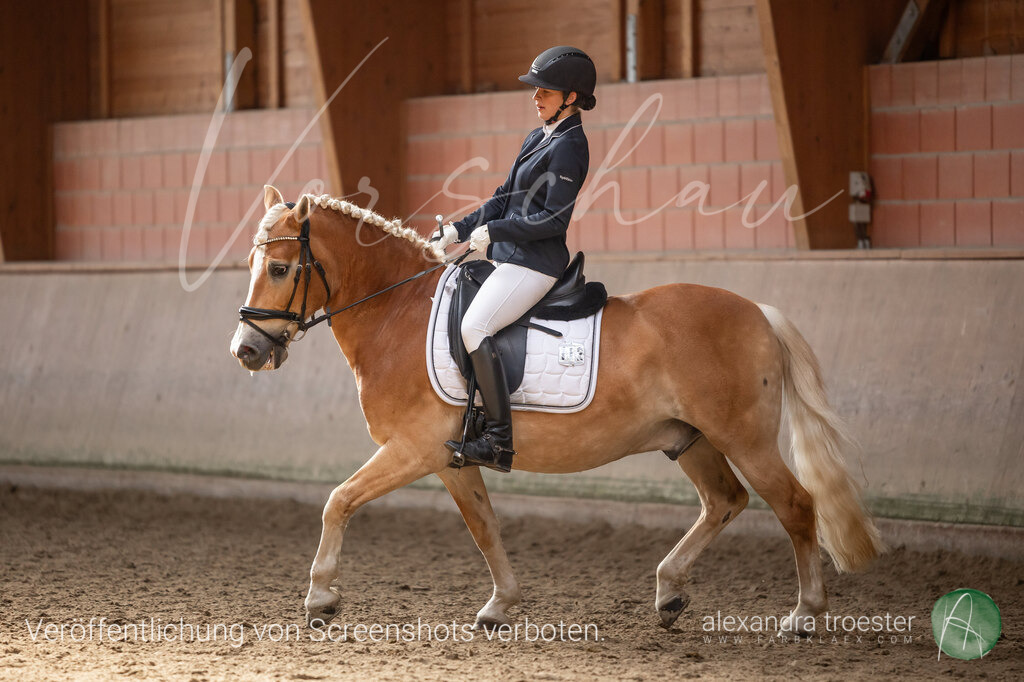 250405_Barop_06_314 | farbklaex.com