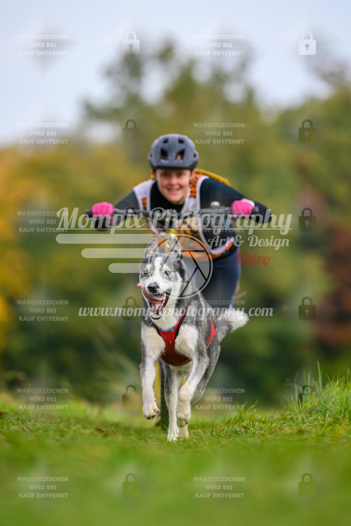 MompixPhotography_CDLBDB2025_DI_DS-72 | PayLife