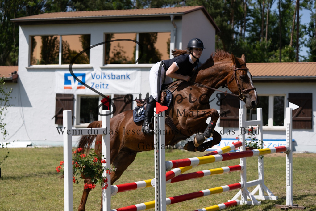 A7V06362 | Pferdefotograf