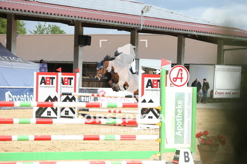 DL2Q1226 | Willkommen bei Brunnmayr - Design & Fotografie – Ihrem Spezialisten für Reitturniere und Pferdeveranstaltungen in Oberösterreich, Salzburg und Bayern! Seit über 17 Jahren sind wir leidenschaftlich dabei.