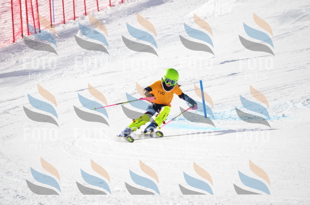 C7752 | holidayphoto