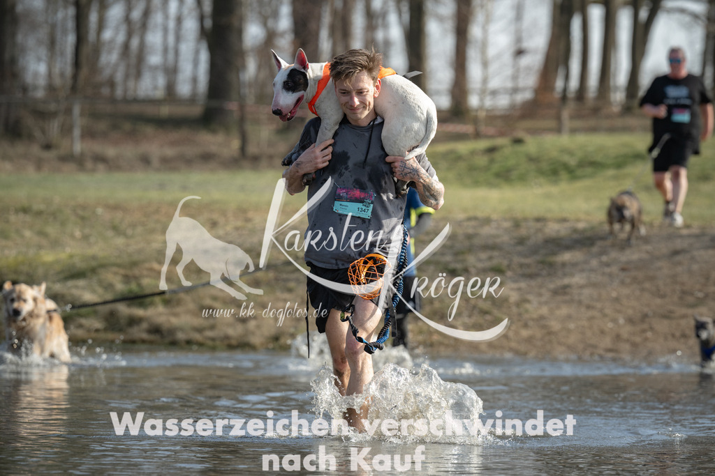 1332_ZZ96912 | kk-dogfotos