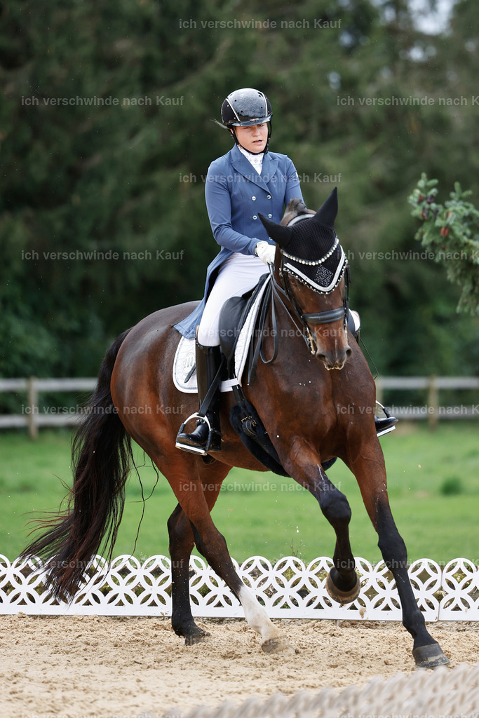 6-200-AMATUER-DRESSUR S_  -StoibPH-3535 | working equitationturnier fotograf videograf stoibphotography marixx film working equitation deutschland reitsport turnierfotografie eventfotografie equestrian events