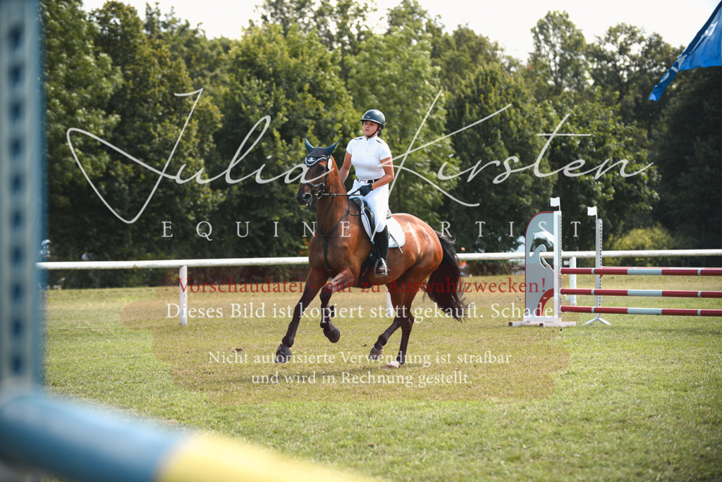 DSC_6524 | Pferde- und Turnierfotografie in Westsachsen. Pferdeportraits, Auftragszeichnungen und intuitive Kunst.