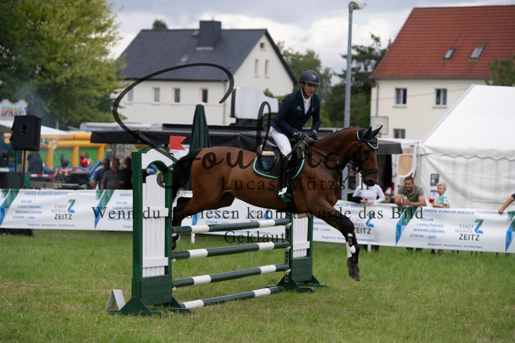 A7V04006 | Pferdefotograf