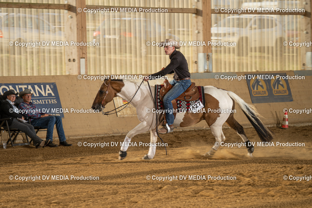 LAU01957 | dv-media-shop - Realisiert mit Pictrs.com