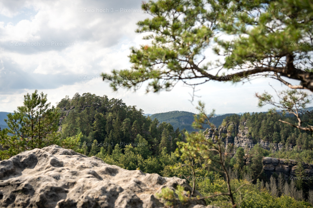 Grosser_Teichstein_Aussicht_Kantstein_Kiefer_Ast_Felsplateau | 2022-08-30_Waldbrandgebiete_1 - Realisiert mit Pictrs.com