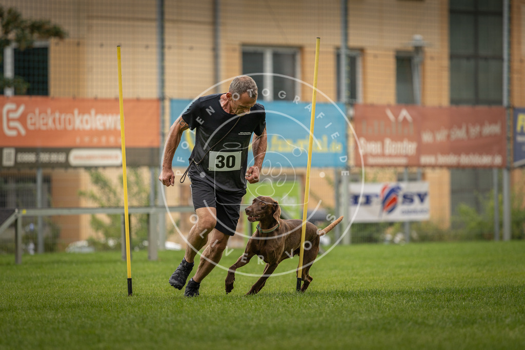 Pfotenfotografie_DV3A8357 | Hundefotografie, Tierfotograf, Pfotenfotografie, Fotoshooting Hund, Hunde Portrait, Hundesport, Hundeportraits, Heideshooting, Hunde, Sportfotograf, Hundefotograf, Turnierhundsport, THS,  - Realisiert mit Pictrs.com