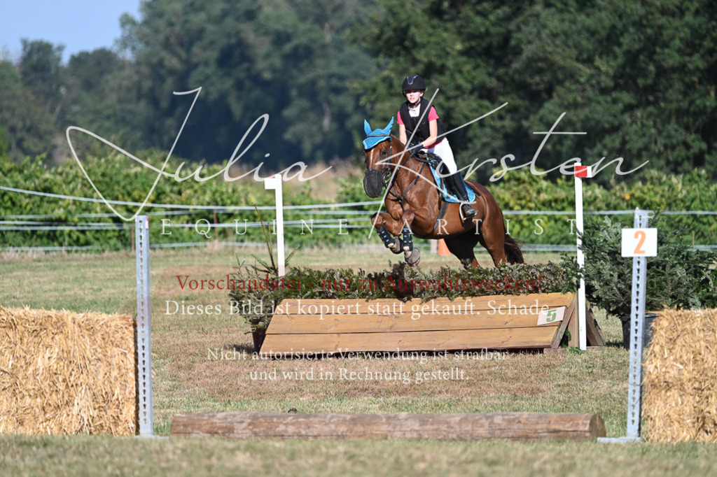 DSC_8930 | Pferde- und Turnierfotografie in Westsachsen. Pferdeportraits, Auftragszeichnungen und intuitive Kunst.