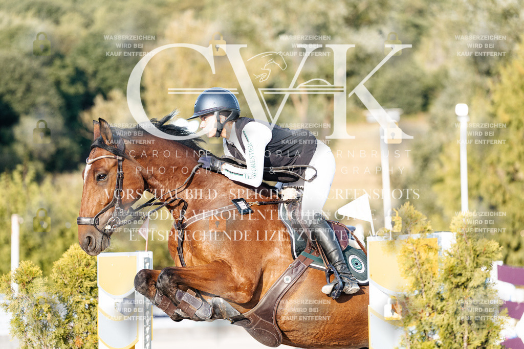 CK900764 | Turnierfotografie Pferdefotografie Trier Rheinland-Pfalz Pferdesport Reitsport Tierfotografie Sportfotografie Pferdevideo Pferdevideografie Equestrianvideography equestrianphotography  - Realisiert mit Pictrs.com