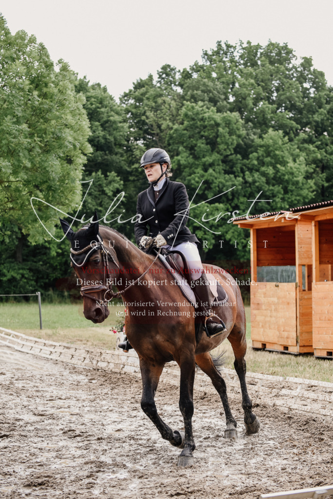 DSC_0750 | Pferde- und Turnierfotografie in Westsachsen. Pferdeportraits, Auftragszeichnungen und intuitive Kunst.