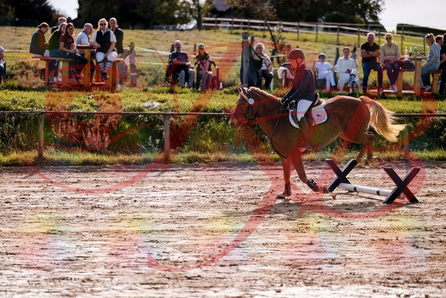 2026_10_03_Siefer-Hof_144706_Z81_23784455 | Professionelle Reitsport-, Turnier- und Eventfotografie von Robert Broda. Galerien mit ausgewählten und bearbeiteten Bildern direkt online ansehen und bestellen.