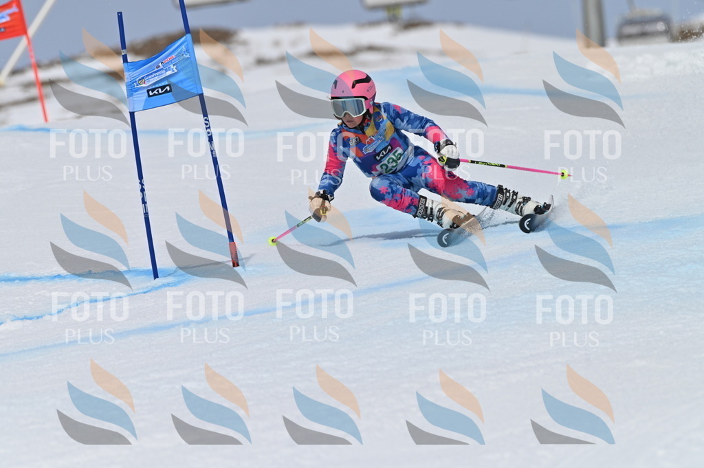 BGV_4666 | holidayphoto