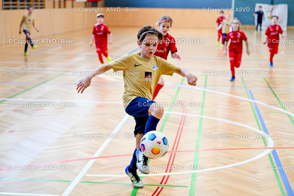 ASVÖ_ Fussballturnier SV Gallneukirchen_ 09.02.2025-80 | 09.02.2025, Gallneukirchen, AUT, ASVÖ, Fussball Nachwuchs Hallenturnier 2025, SV Gallneukirchen im Bild Teilnehmer U 9©Harald Dostal / fodo.media - Realisiert mit Pictrs.com