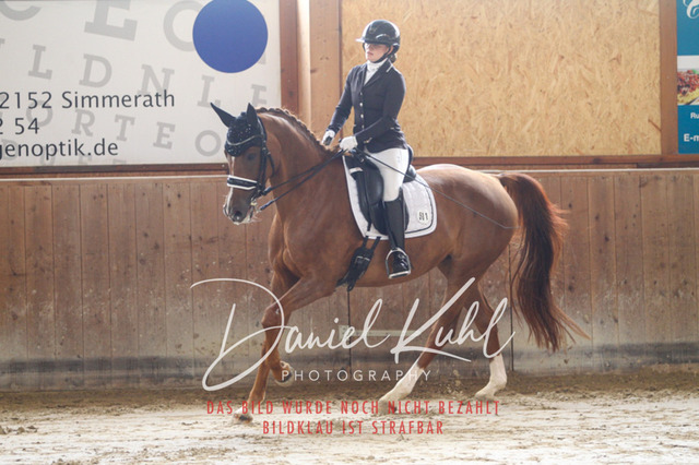 DKP44598 | Turniersportfotografie; Pferdefotografie; Dressurfotografie