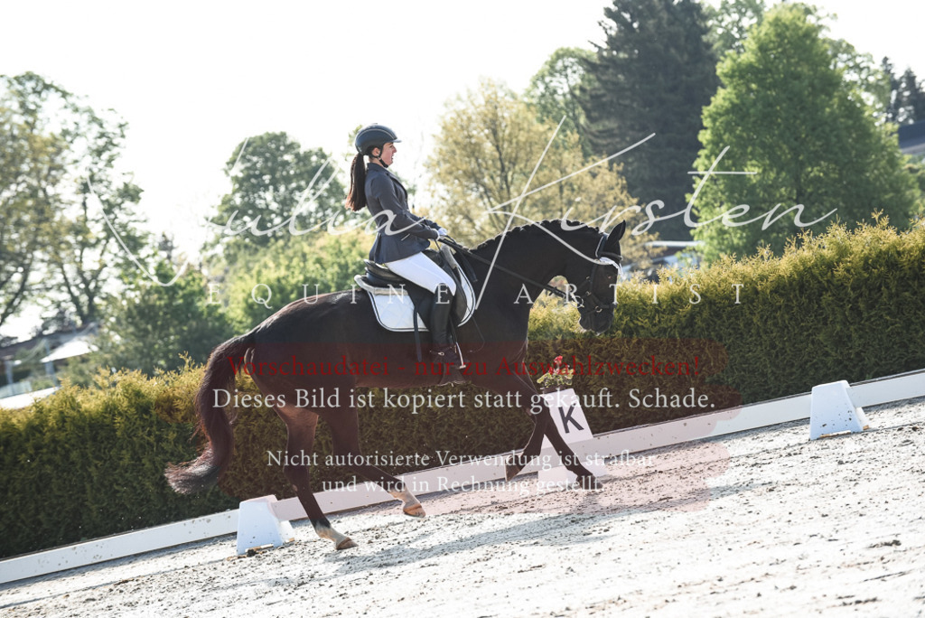 20230518_JK-Röhrsdorf-09-0809 | Pferde- und Turnierfotografie in Westsachsen. Pferdeportraits, Auftragszeichnungen und intuitive Kunst.