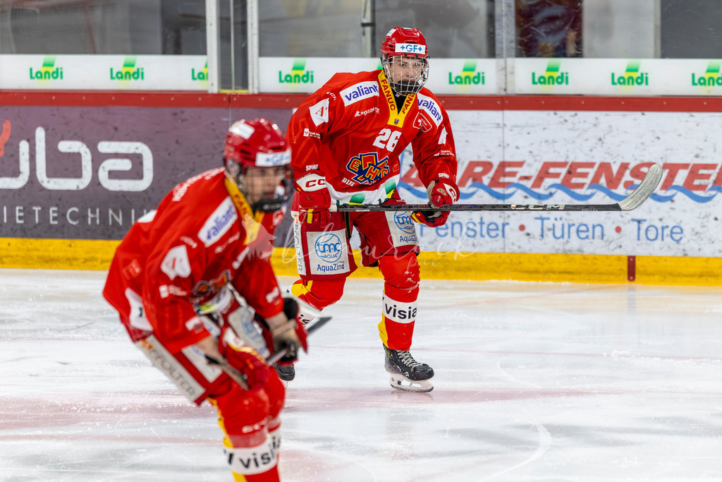 EHCB vs HCD 20262703-422874112 | Sportbilder, Sportfotograf, Hochzeits- und Eventfotografin, Flugshows, Portraits und Tiershooting, Aviation, Downhill, Nationalleague, Swissleague, International
