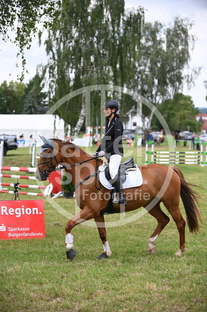 DSC_2501 | sattelsport - Realisiert mit Pictrs.com