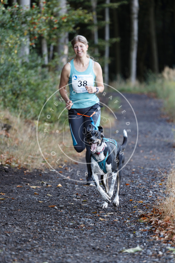 0L8A1635 | Hundefotografie, Tierfotograf, Pfotenfotografie, Fotoshooting Hund, Hunde Portrait, Hundesport, Hundeportraits, Heideshooting, Hunde, Sportfotograf, Hundefotograf, Turnierhundsport, THS,  - Realisiert mit Pictrs.com