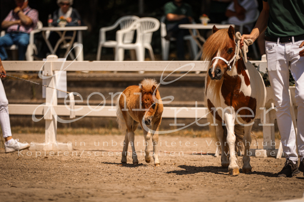 01.DoKR00085 | Leoni Ertmer Photography - Realisiert mit Pictrs.com