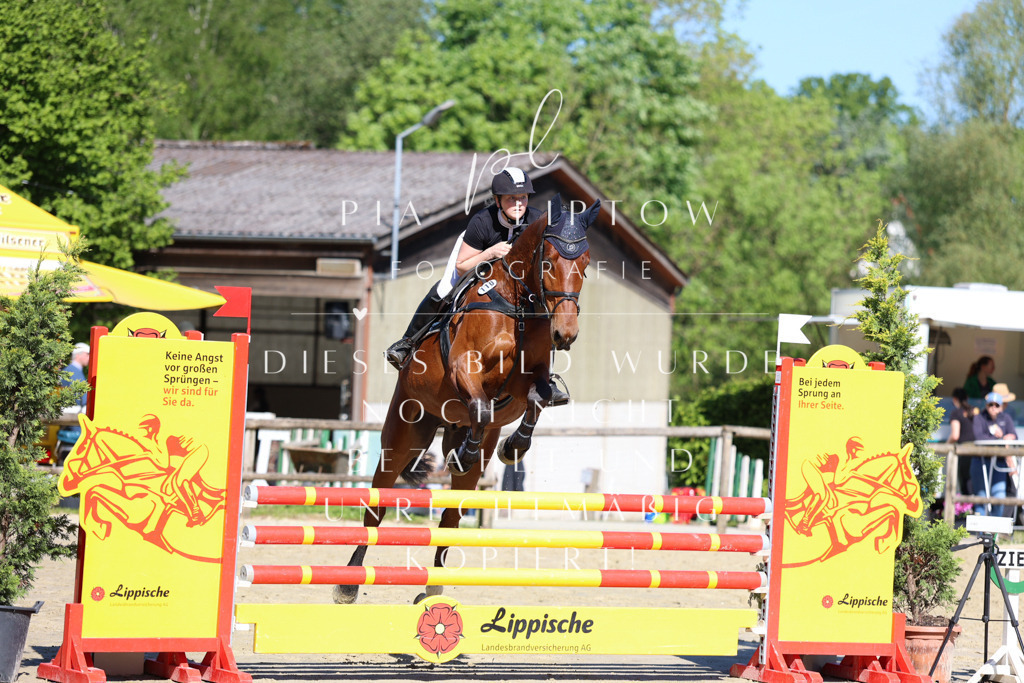 IMGS6714 | pl-fotografie