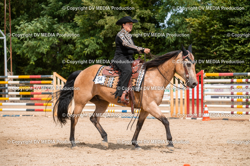 EWP_6020 | dv-media-shop - Realisiert mit Pictrs.com