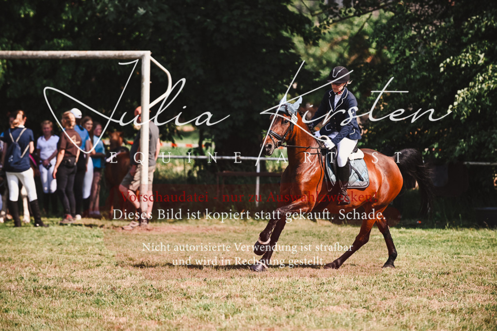 DSC_7316 | Pferde- und Turnierfotografie in Westsachsen. Pferdeportraits, Auftragszeichnungen und intuitive Kunst.