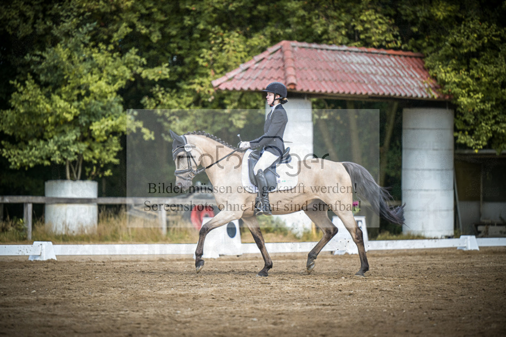 DOS_0659 | Entdecke hochwertige Reitturnierfotos von Foto Oger. Professionell, emotional und authentisch – jetzt Lieblingsmomente im Shop bestellen.Deutschlandweite Turnierfotografie. - Realisiert mit Pictrs.com