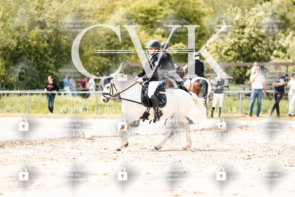 CK901833 | Turnierfotografie Pferdefotografie Trier Rheinland-Pfalz Pferdesport Reitsport Tierfotografie Sportfotografie Pferdevideo Pferdevideografie Equestrianvideography equestrianphotography  - Realisiert mit Pictrs.com