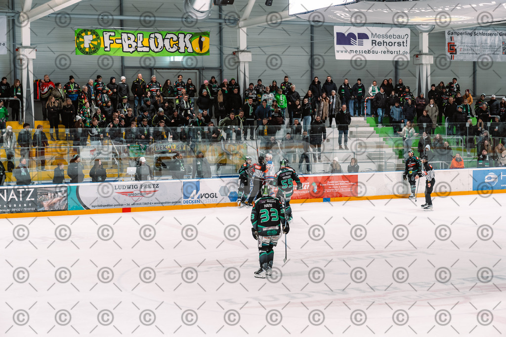 Alligators_vs_Peiting_25_11_2025-73 | Höchstadt Alligators Fotogalerie: Eishockey-Action aus Franken. Professionelle Spielfotos, Portraits & Stadionbilder zum Download. Jetzt entdecken! - Realisiert mit Pictrs.com