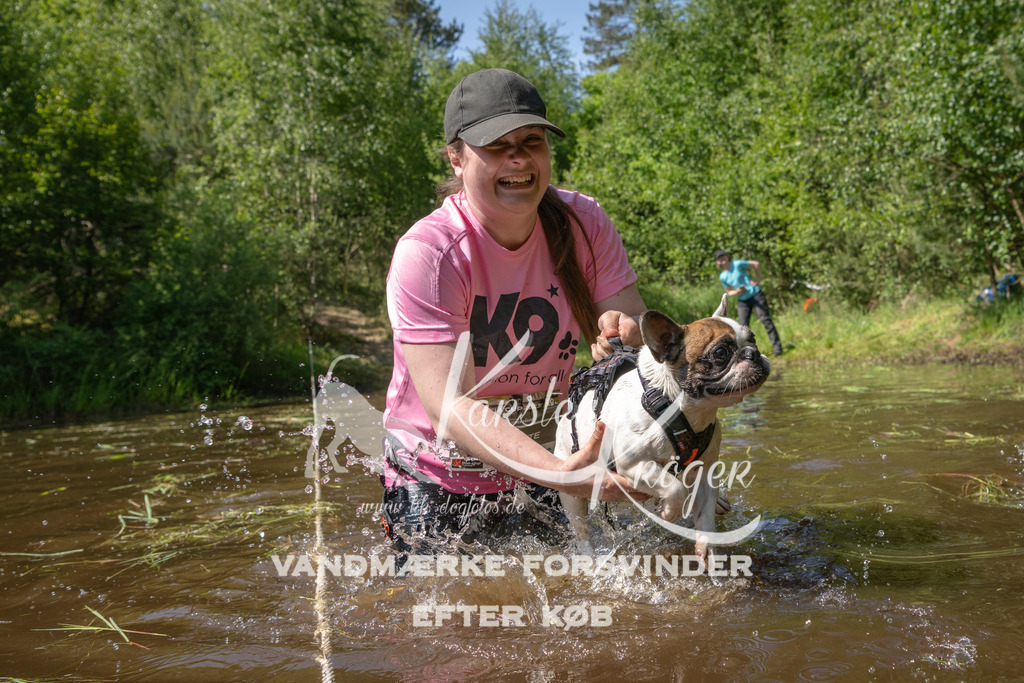 1526DKK993305 | kk-dogfotos