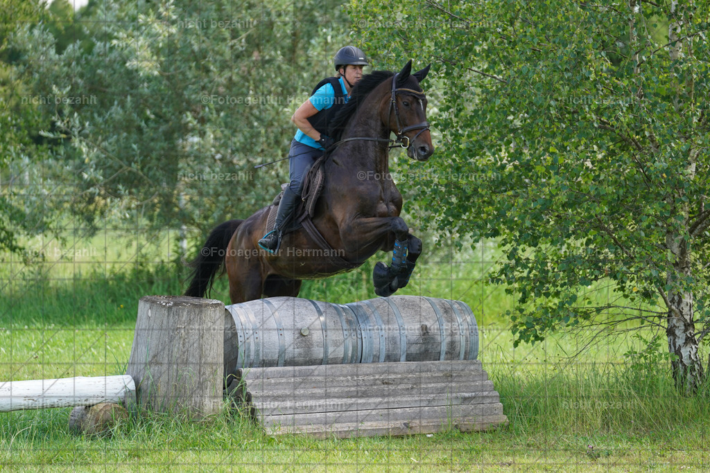 20240622-FAH07848 | Turnierfotografen Bayern, Reitsportbilder aus dem Geländekurs mit Felix Etzel auf dem Gut Waitzacker 2024