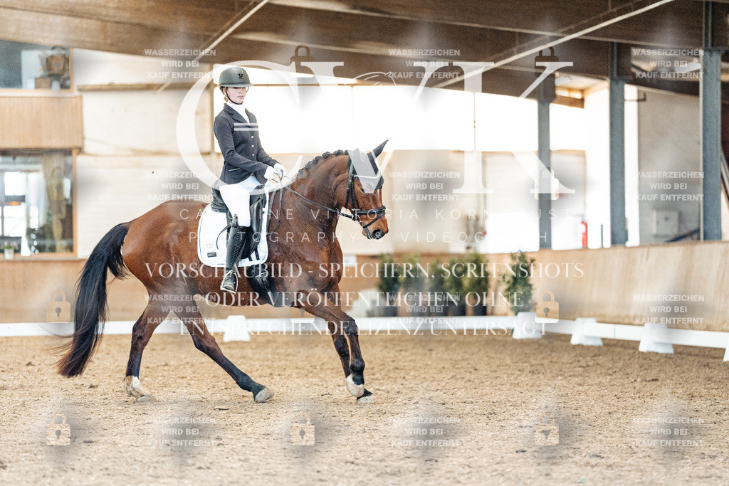 CK909291 | Turnierfotografie Pferdefotografie Trier Rheinland-Pfalz Pferdesport Reitsport Tierfotografie Sportfotografie Pferdevideo Pferdevideografie Equestrianvideography equestrianphotography  - Realisiert mit Pictrs.com