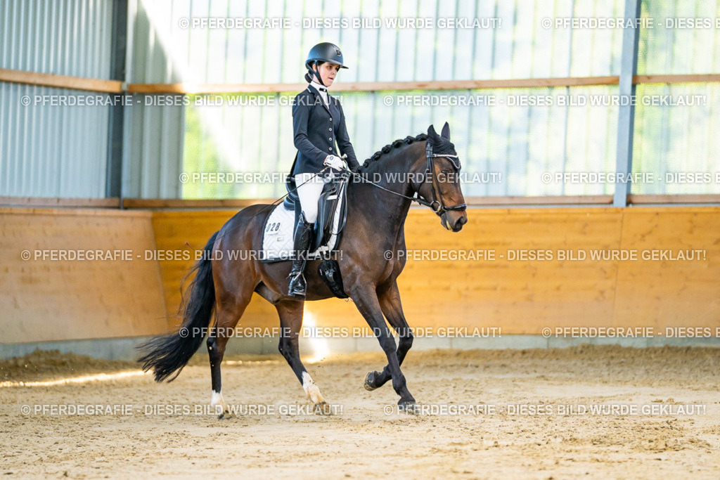 DSC06143 | Pferdegrafie