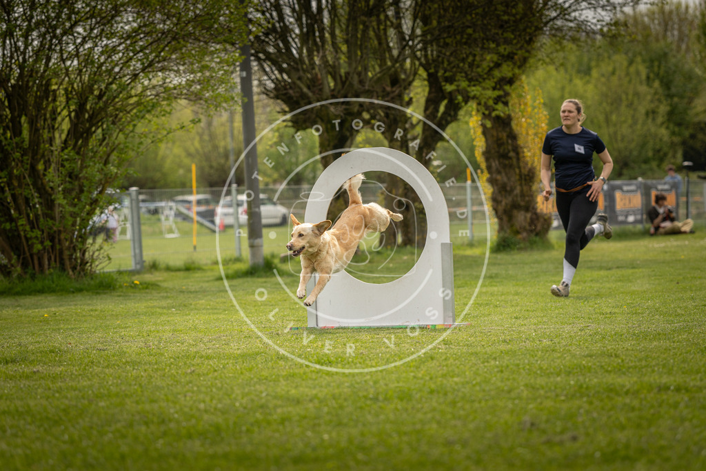 Pfotenfotografie_DV3A6437 | Hundefotografie, Tierfotograf, Pfotenfotografie, Fotoshooting Hund, Hunde Portrait, Hundesport, Hundeportraits, Heideshooting, Hunde, Sportfotograf, Hundefotograf, Turnierhundsport, THS,  - Realisiert mit Pictrs.com
