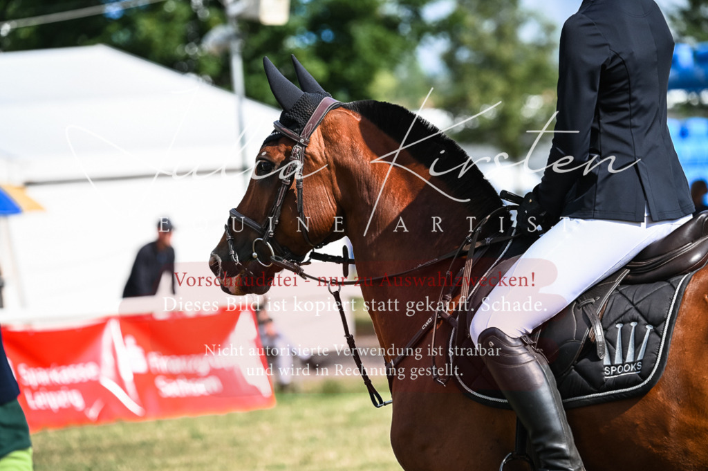 DSC_7895 | Pferde- und Turnierfotografie in Westsachsen. Pferdeportraits, Auftragszeichnungen und intuitive Kunst.