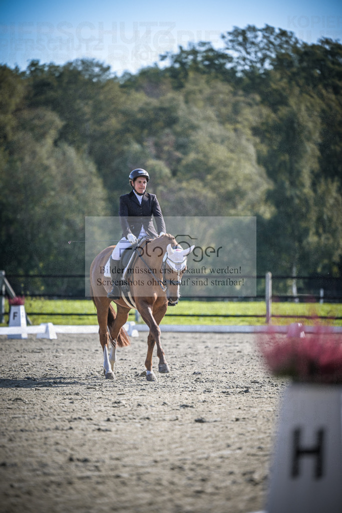 DOS_1649 | Entdecke hochwertige Reitturnierfotos von Foto Oger. Professionell, emotional und authentisch – jetzt Lieblingsmomente im Shop bestellen.Deutschlandweite Turnierfotografie. - Realisiert mit Pictrs.com