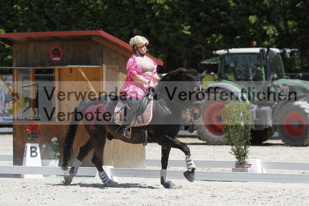 _MG_7865 | equestrian-live-com