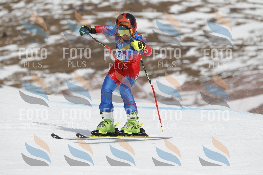 _U3G2535 | holidayphoto