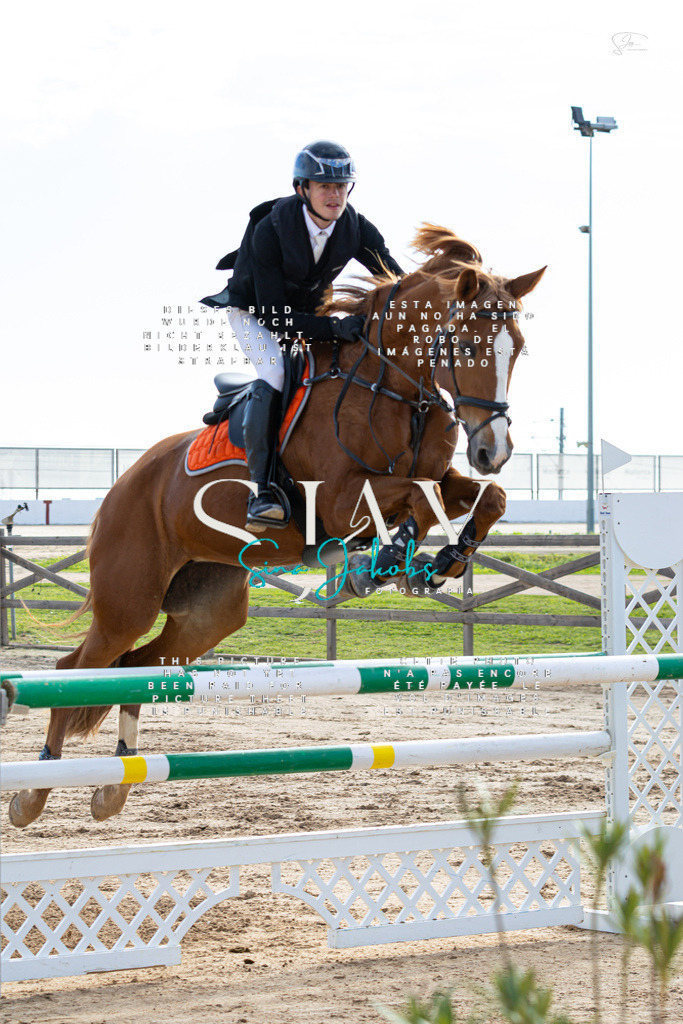 IMG_2100 | s-jay-photography - Realisiert mit Pictrs.com